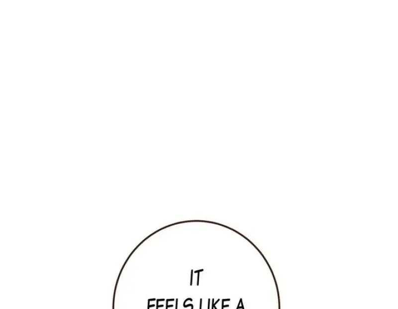 5d8c56ff884a