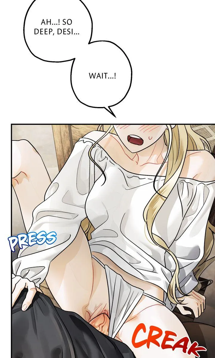 50e1f3264cad