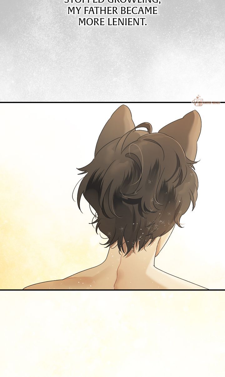 The Beast Of The Abelard Mansion Chapter 3 357 image 87 result