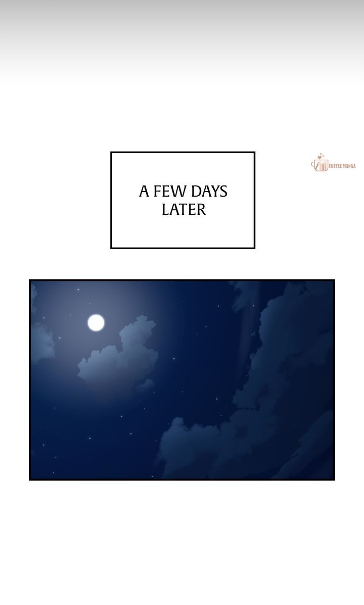 image 27 result