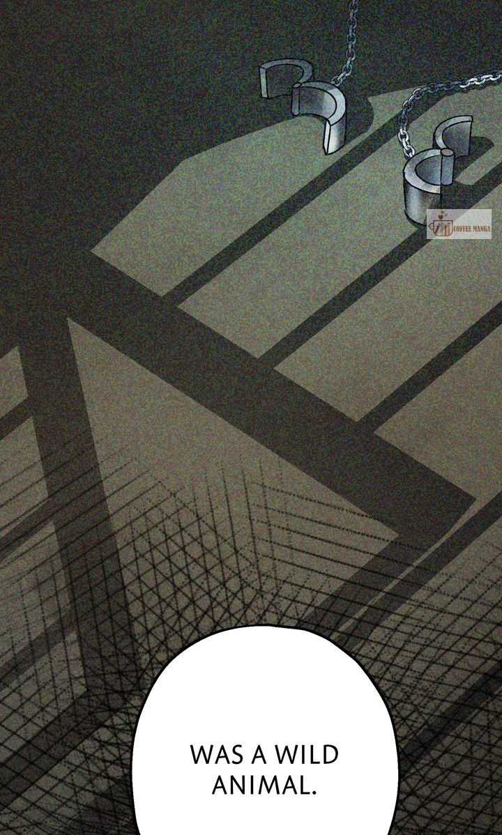 image 24 result