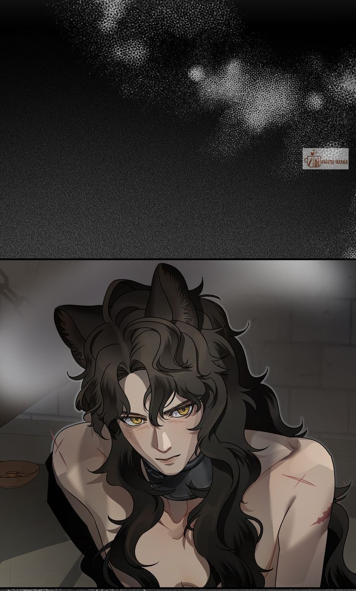 The Beast Of The Abelard Mansion Chapter 9 355 image 40 result