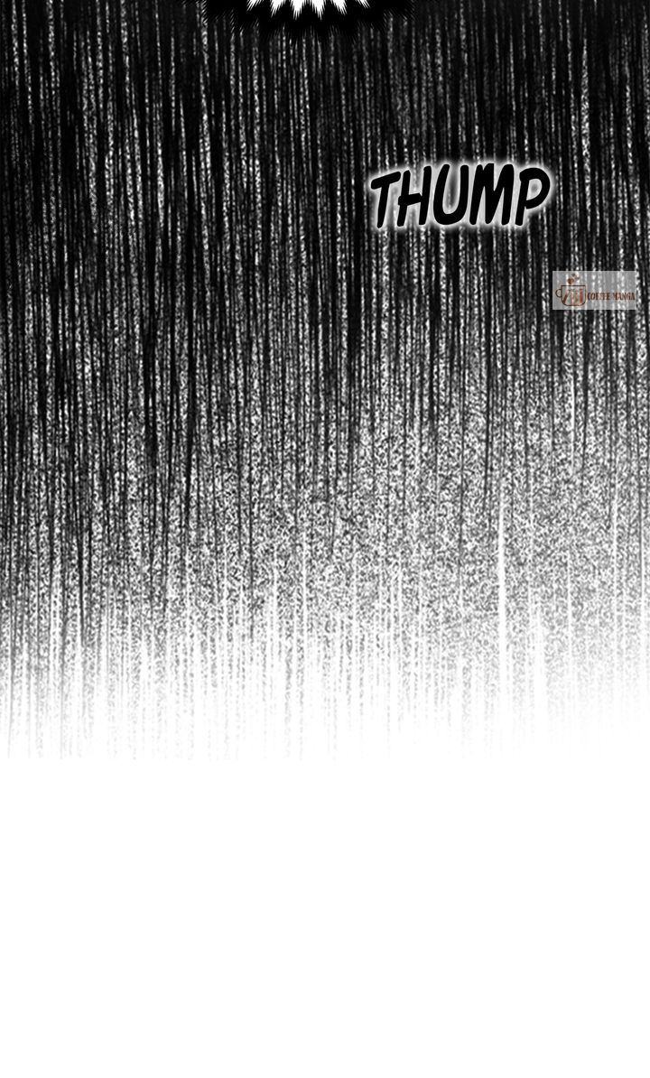 image 36 result