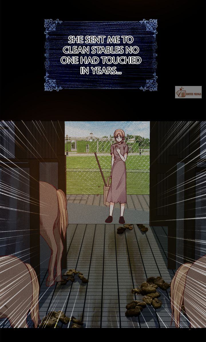 image 35 result