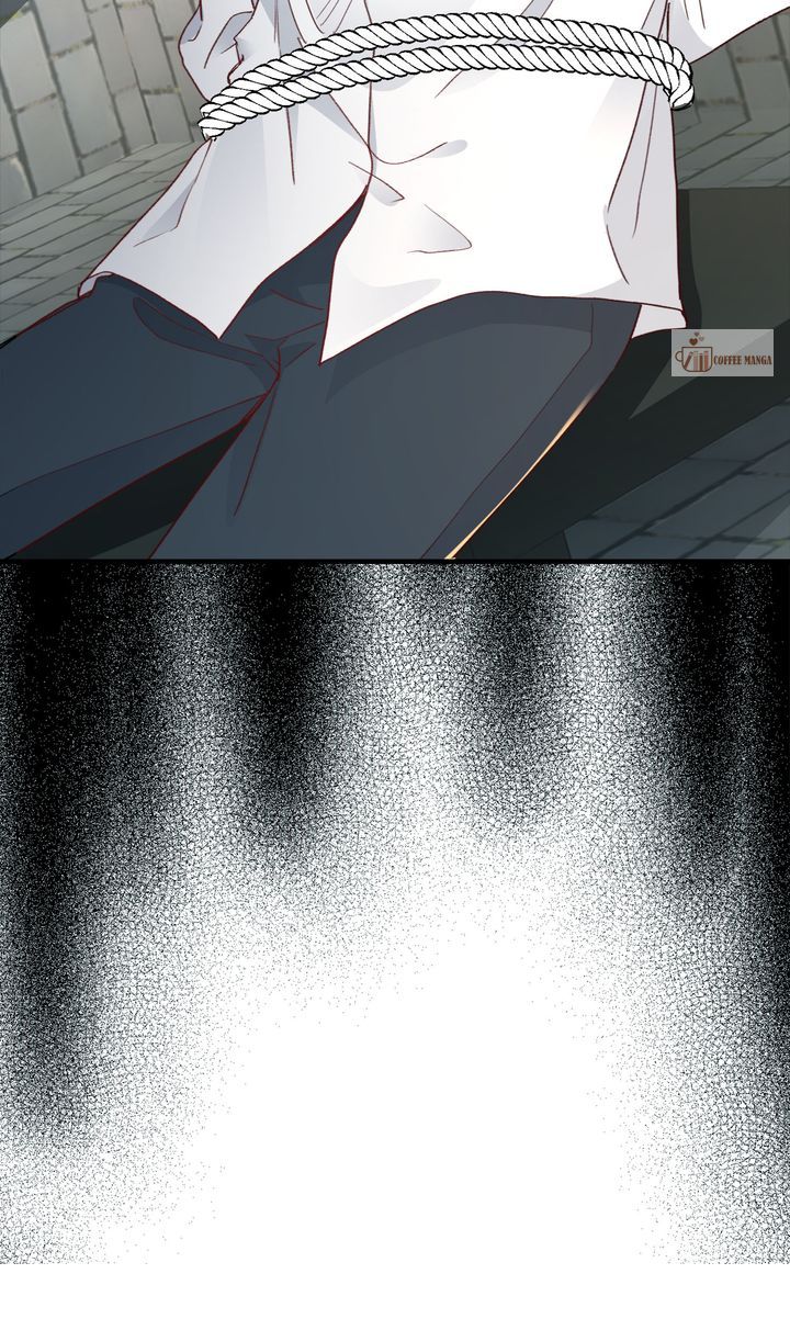 image 37 result