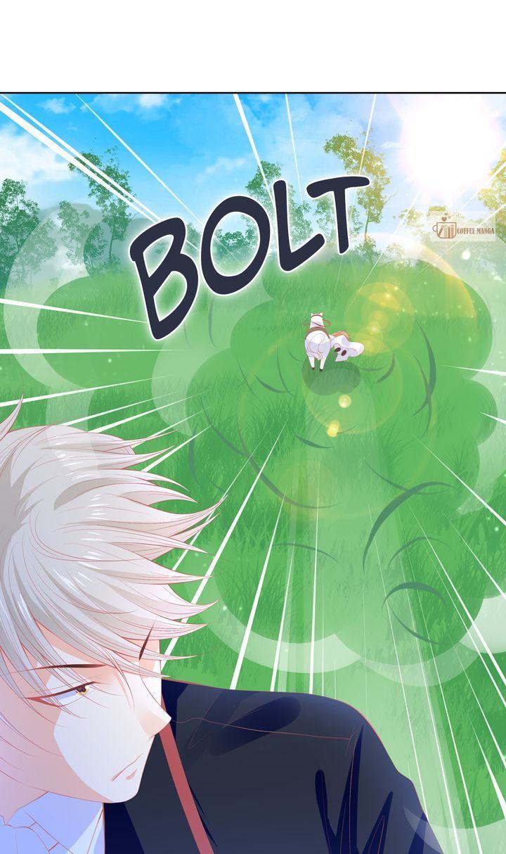 The Devil Duke's Little Bride Chapter 58 137 image 14 result