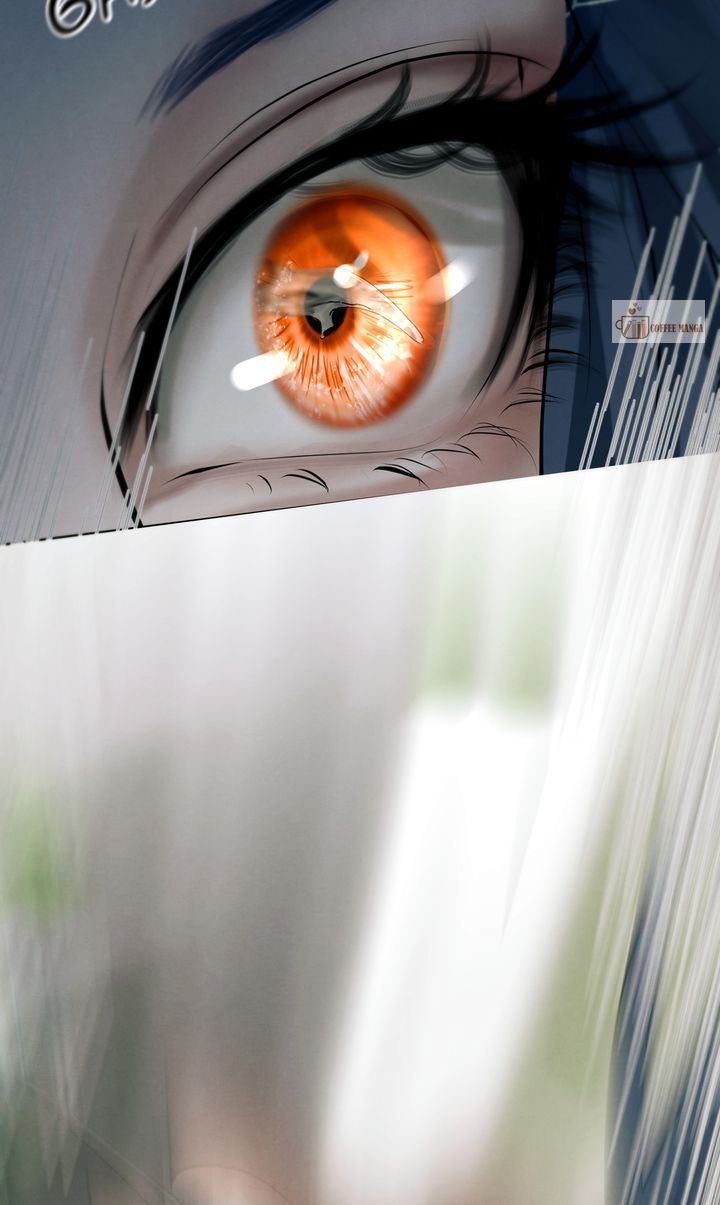 image 11 result