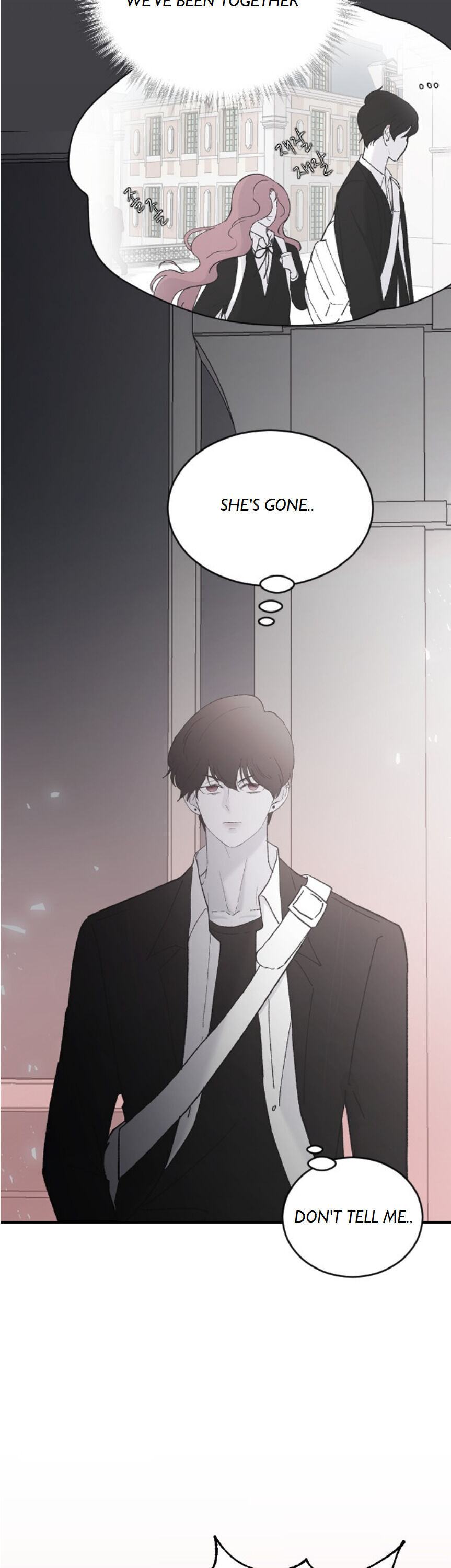 image 008