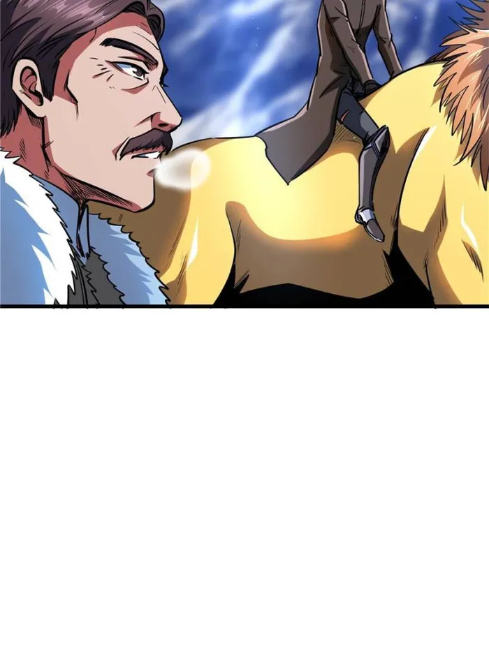 66