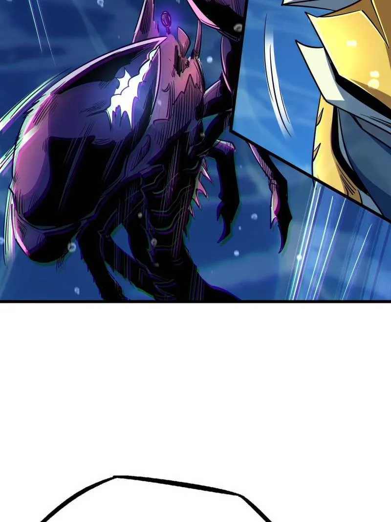 67