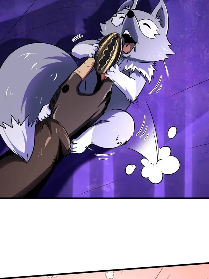 003