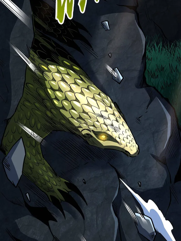 51