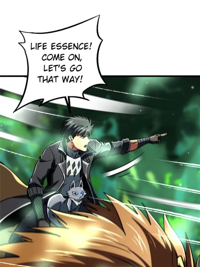 55