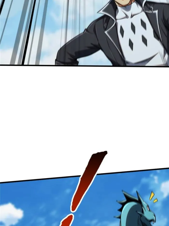 81