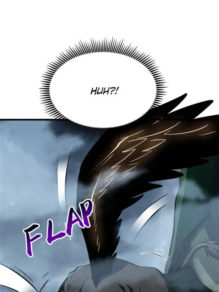 66