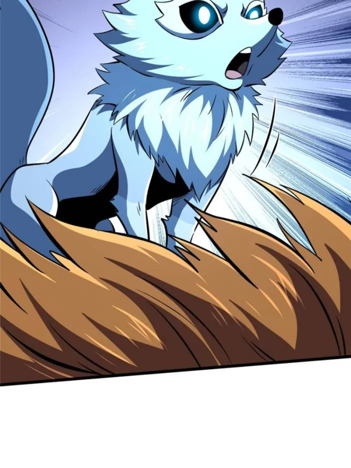 51