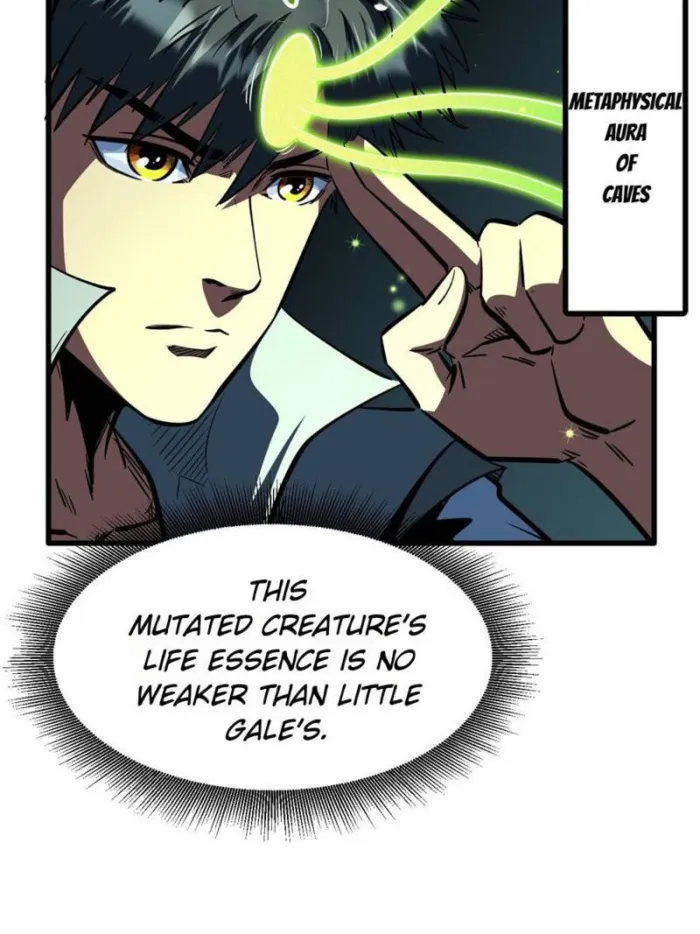 43