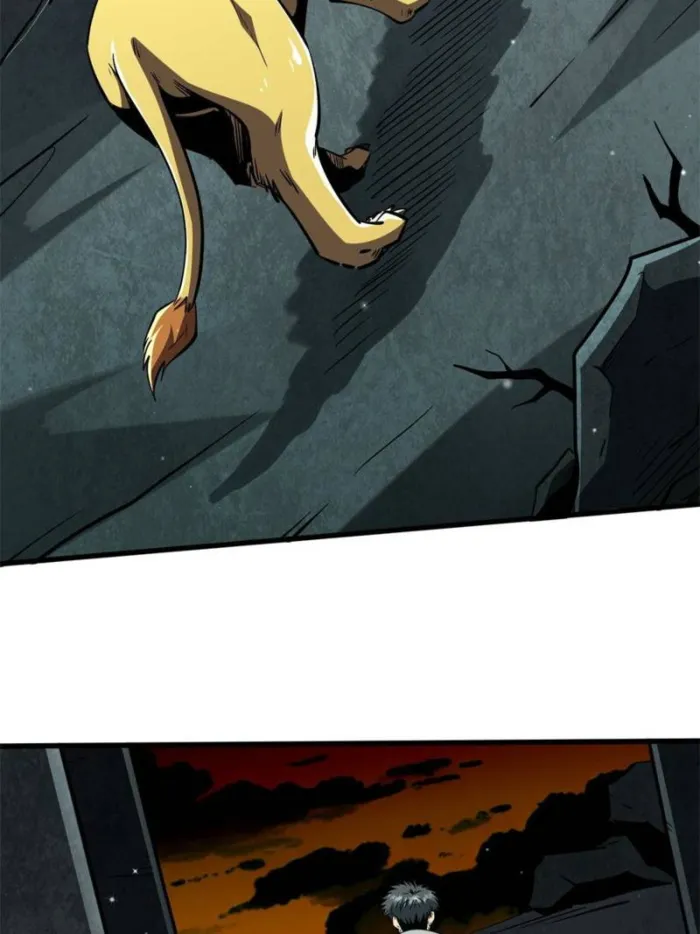 017