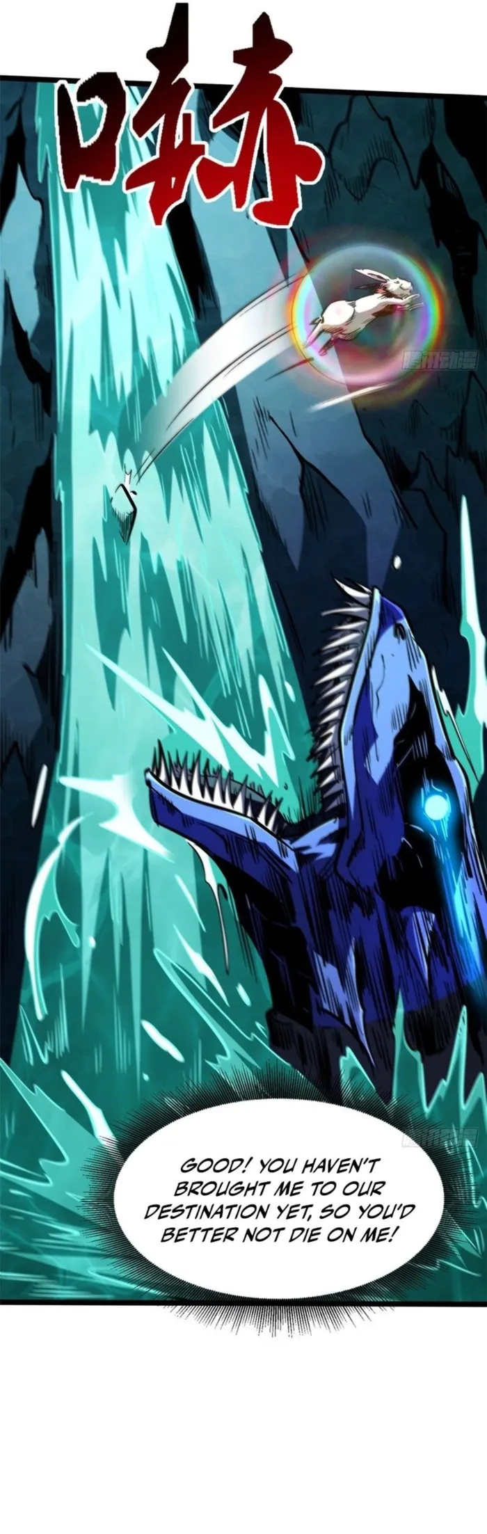 003