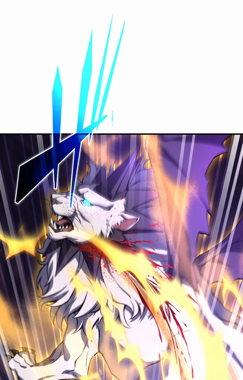 9df934fd2522