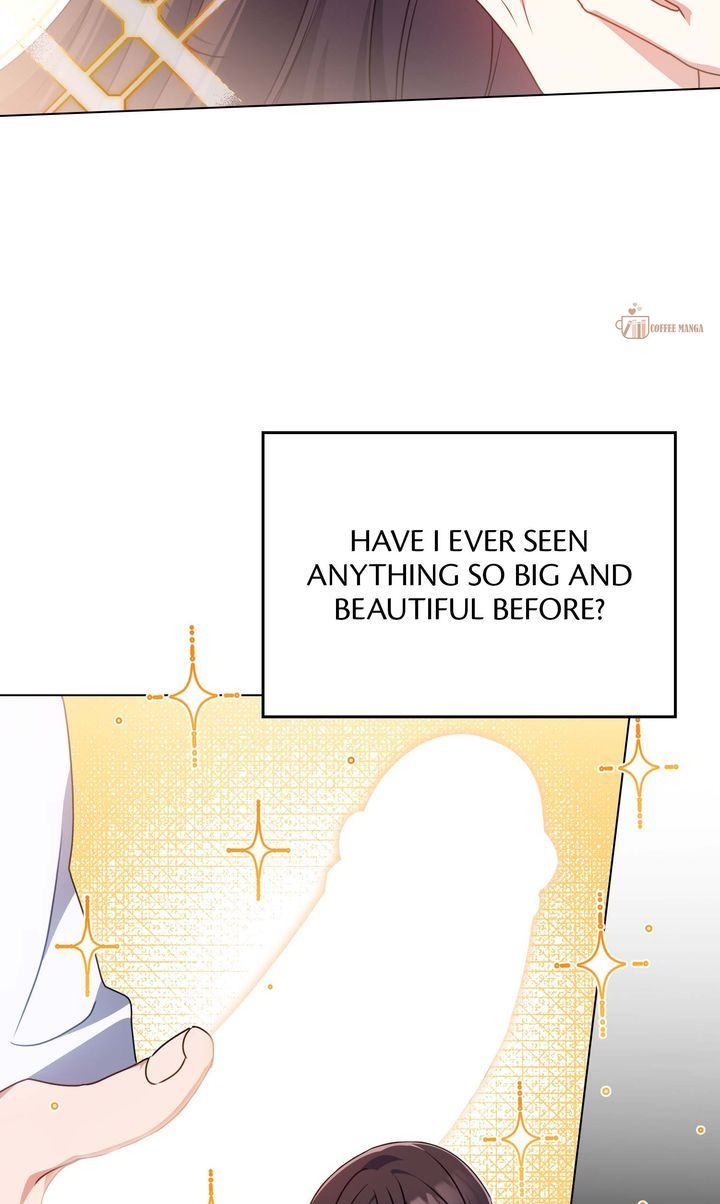 image 29 result