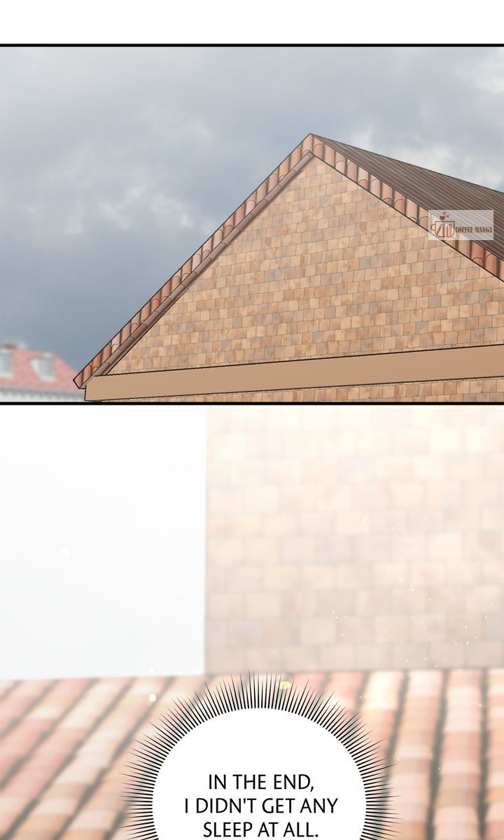 image 23 result