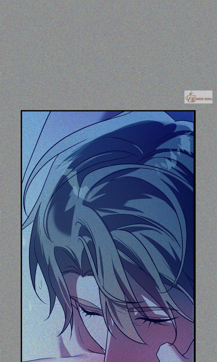 image 31 result