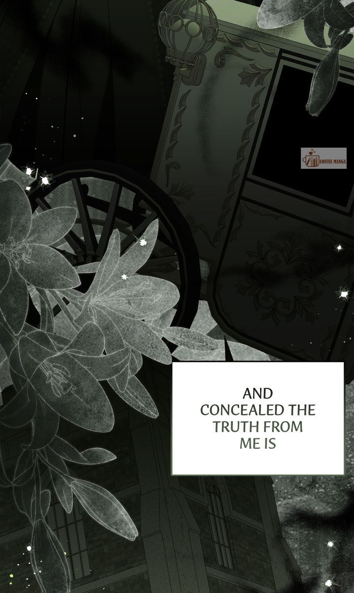 image 16 result
