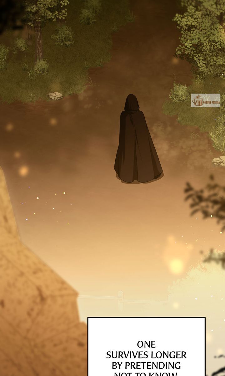 image 49 result