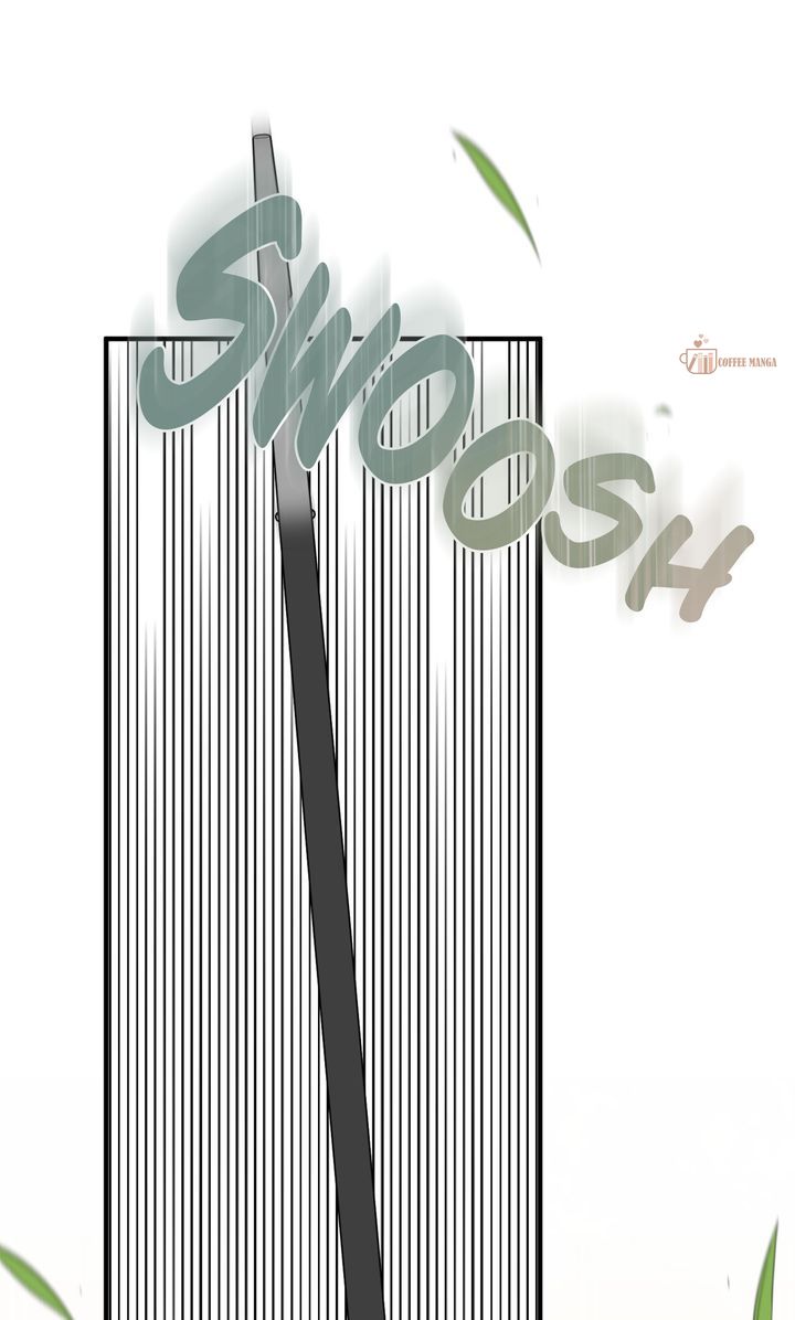 image 5 result