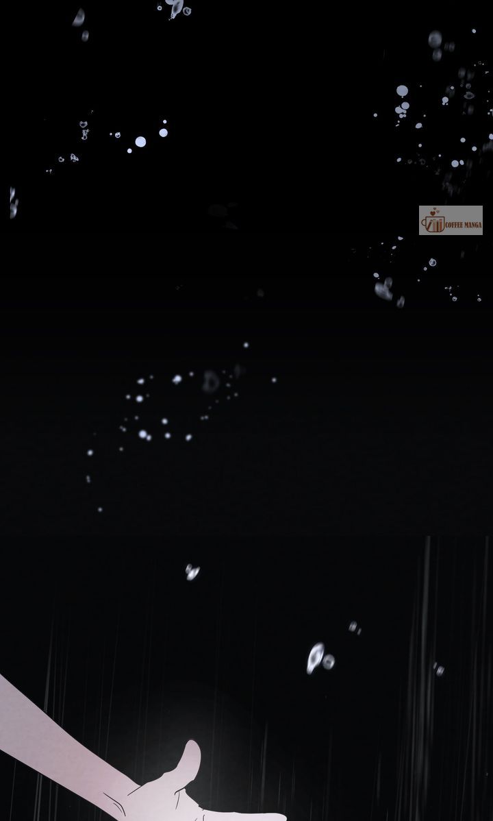 image 13 result