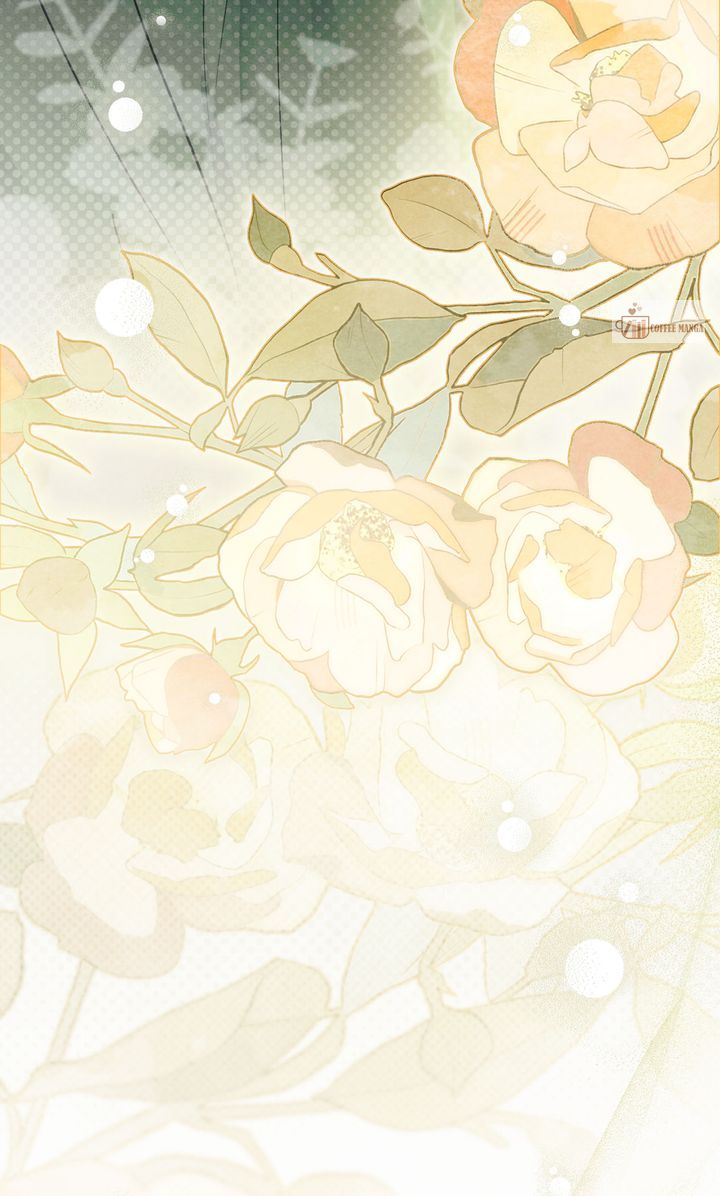 image 18 result