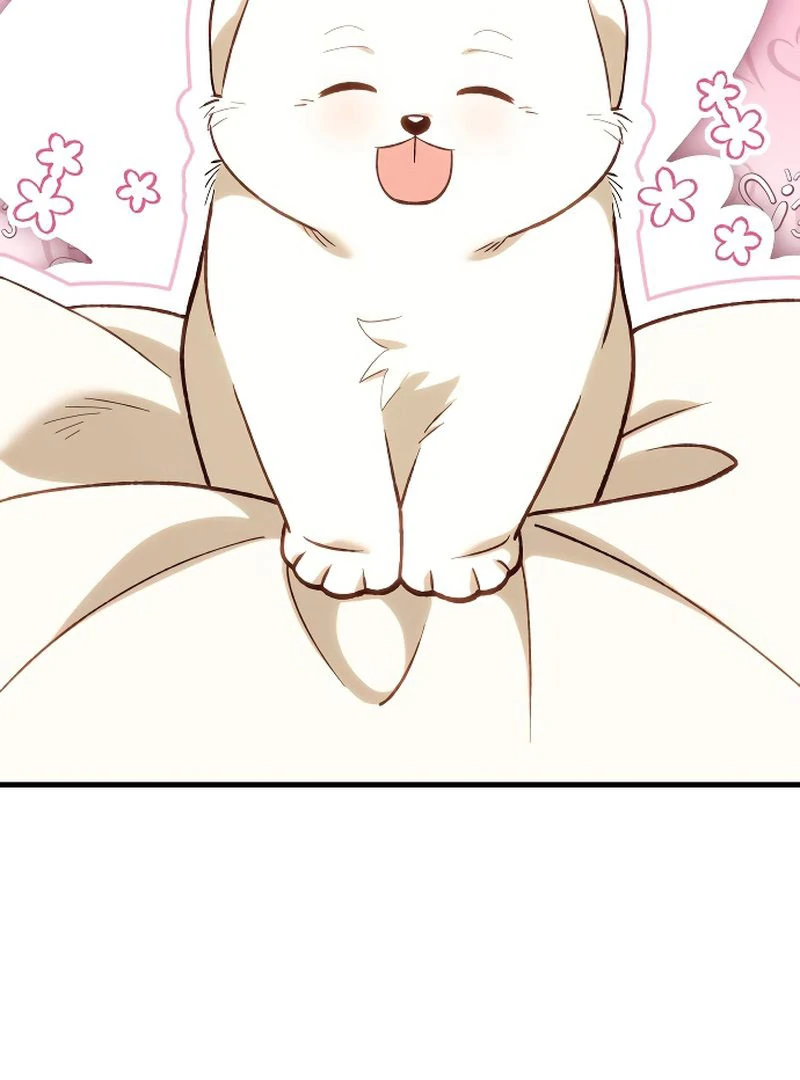 116