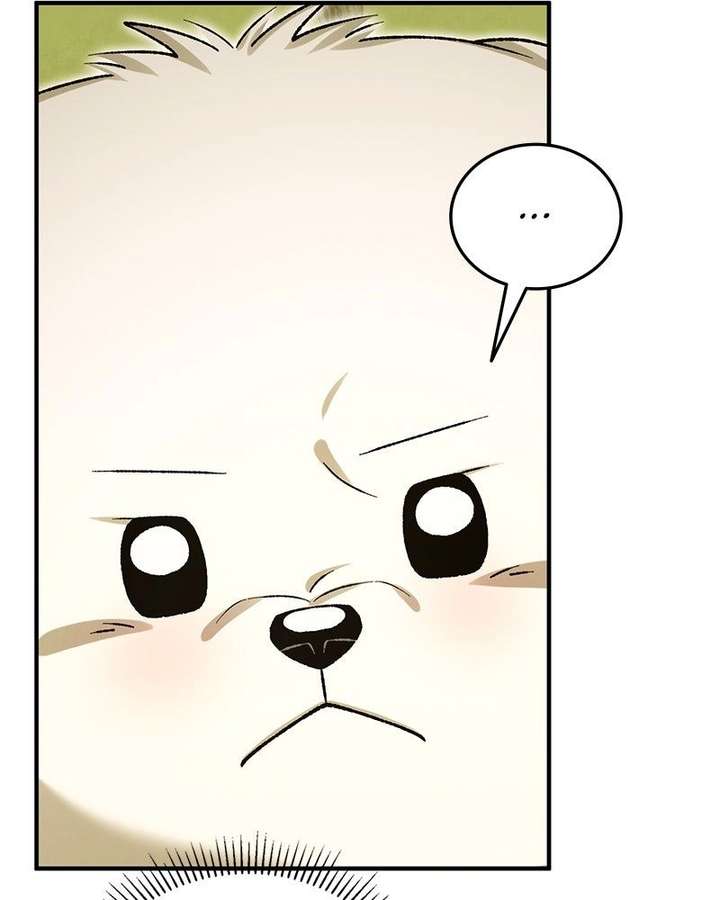 066