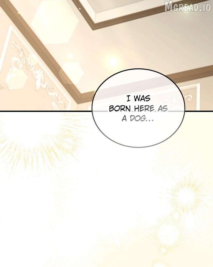135