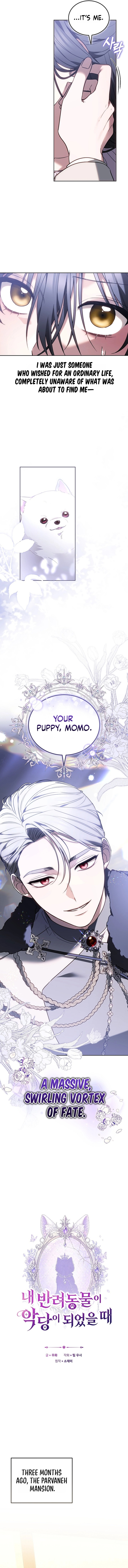 When My Pet Became the Villain Chapter 1 73 f9d332b608fa850a646e2201e45052c6