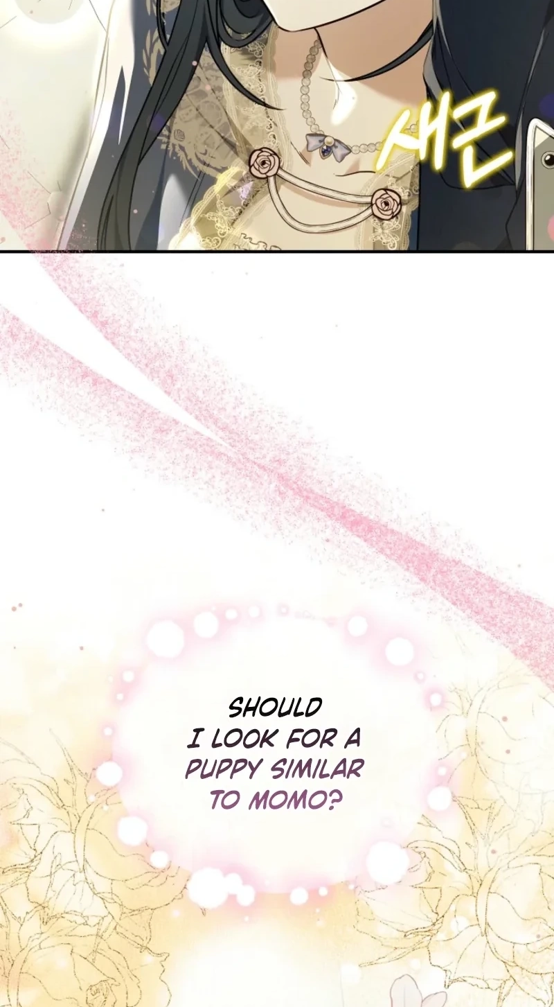When My Pet Became the Villain Chapter 37 373 da9725b0d573