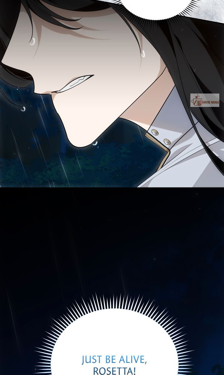 image 5 result