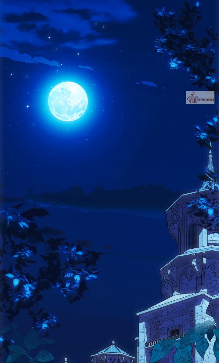 image 17 result
