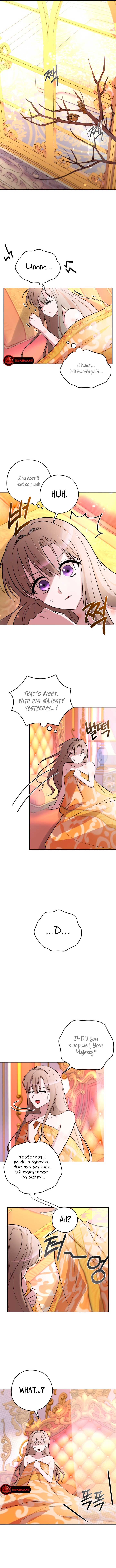 The Maid With A Dictator On A Leash Chapter 29 44 02
