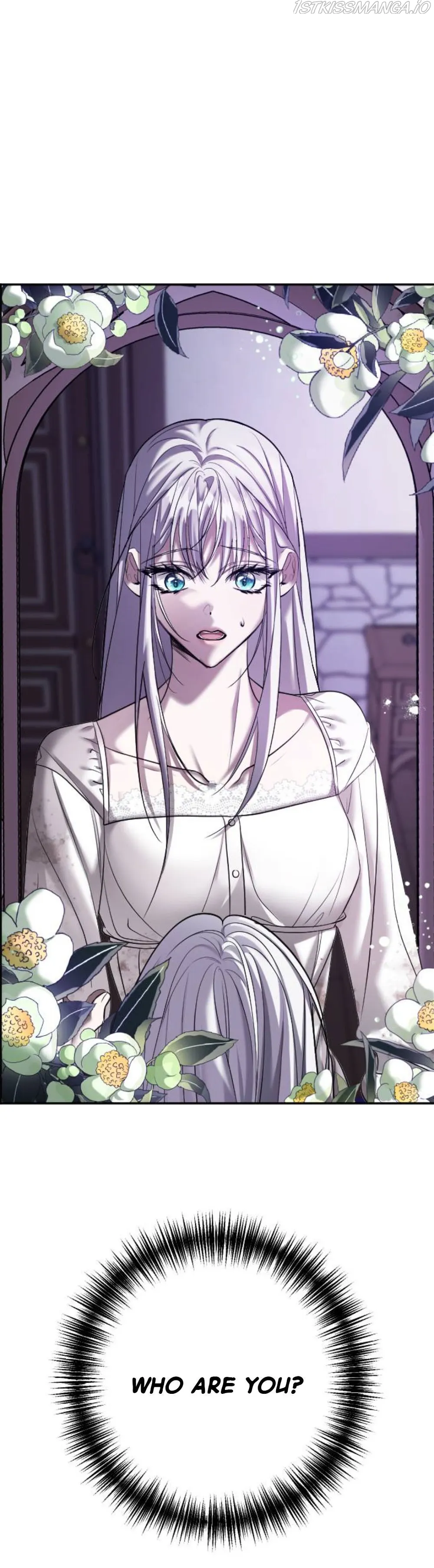 Marriage Alliance for Revenge Chapter 2 195 09