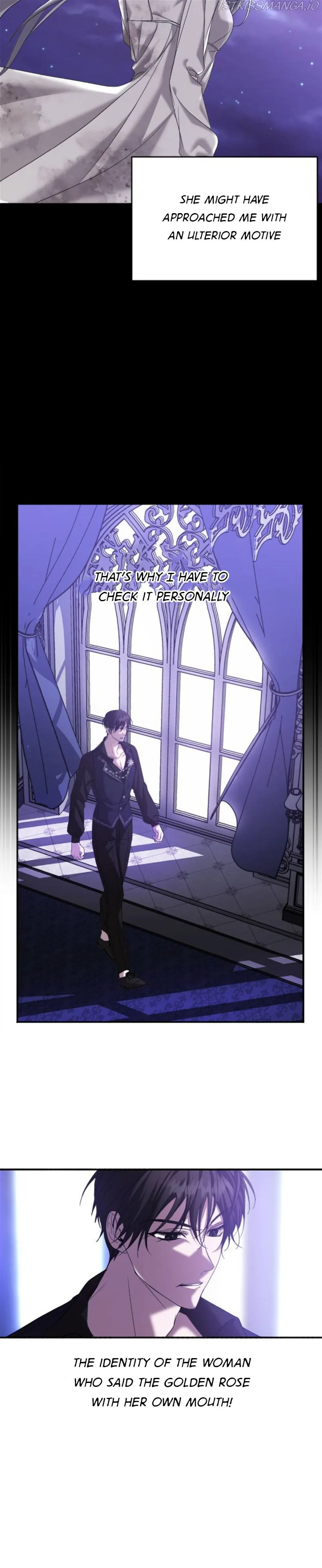 Marriage Alliance for Revenge Chapter 3 227 14