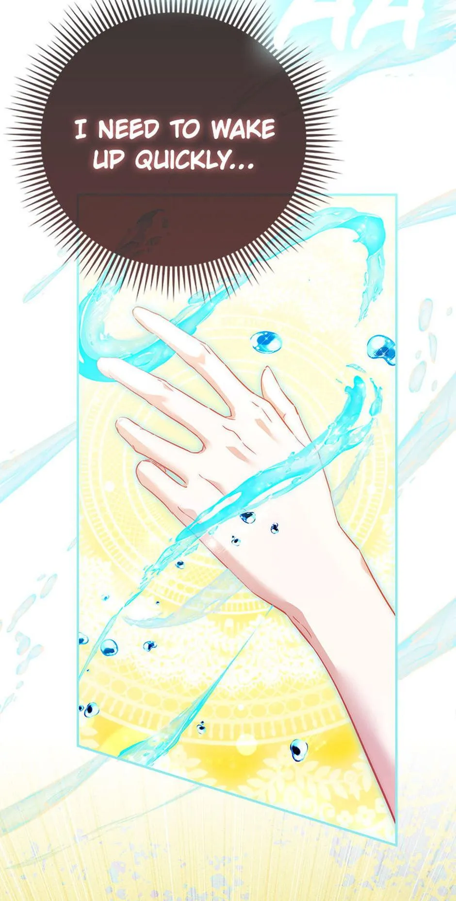 558894b6522c