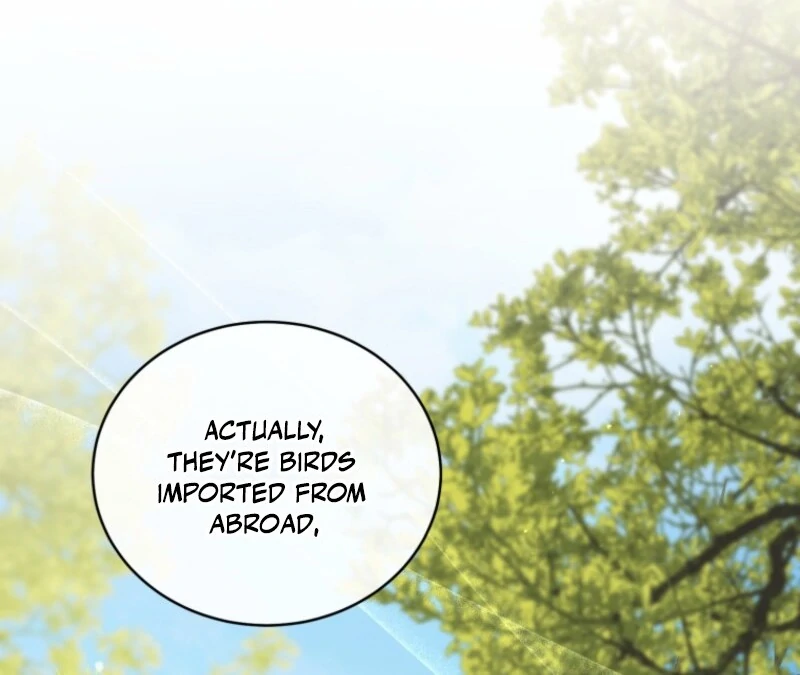 Honey, I Believe That’s Your Misunderstanding Chapter 31 402 034