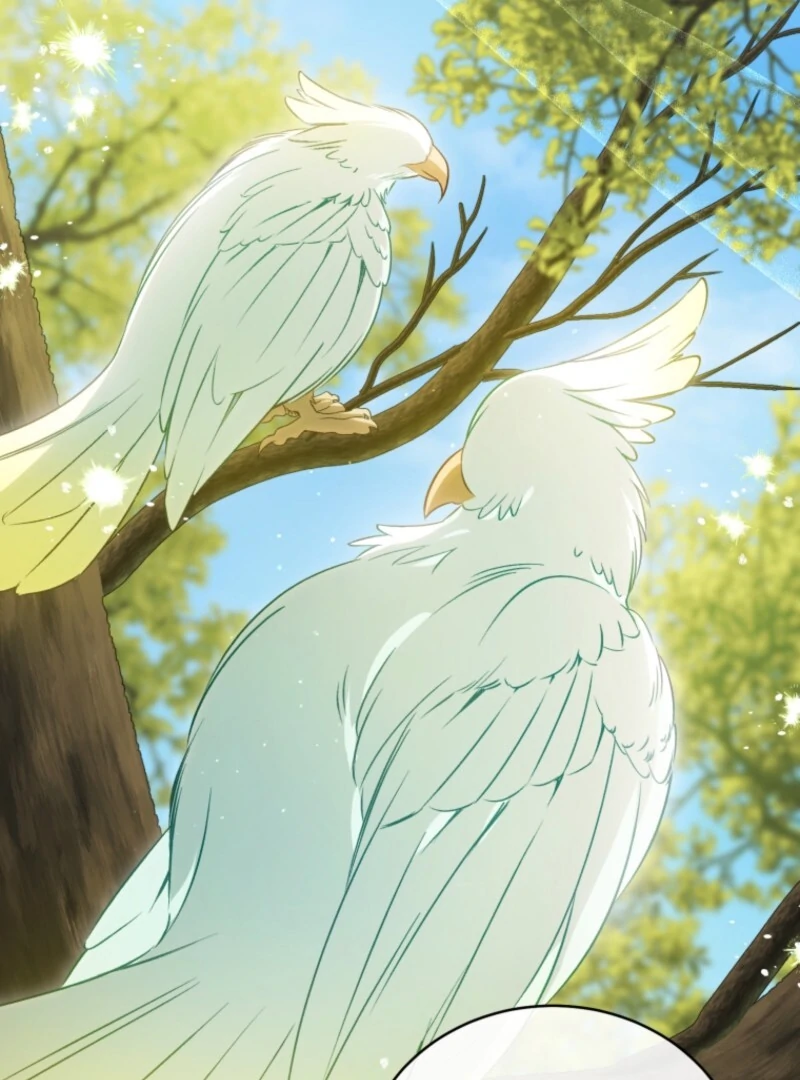 Honey, I Believe That’s Your Misunderstanding Chapter 31 403 035