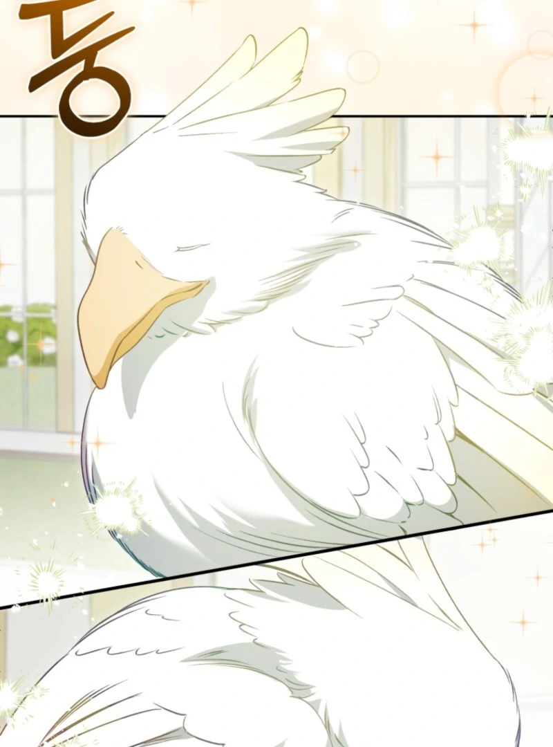 Honey, I Believe That’s Your Misunderstanding Chapter 31 449 081