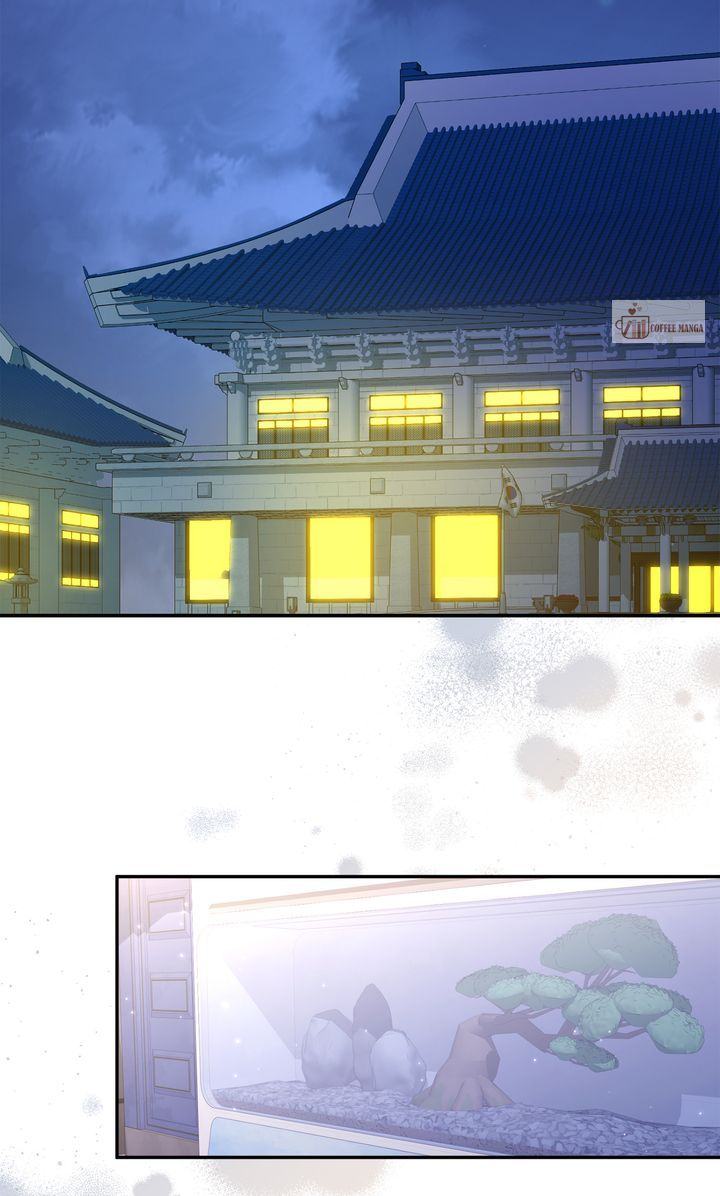 image 45 result