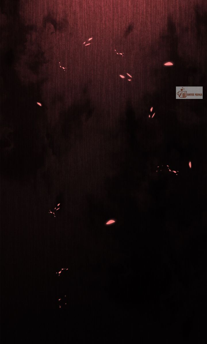 image 75 result