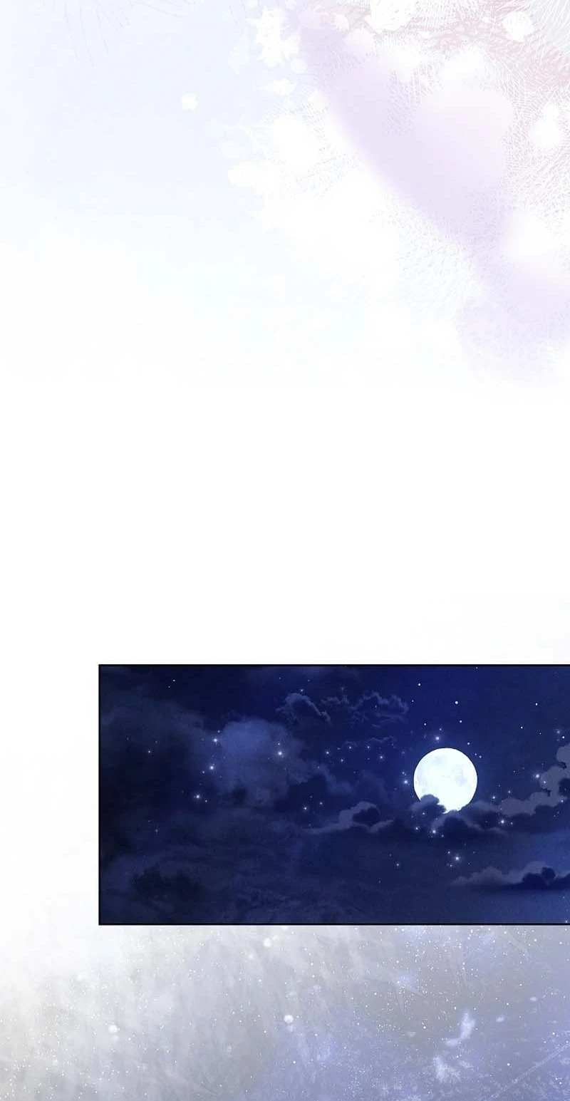 8d6c8e61e307 97