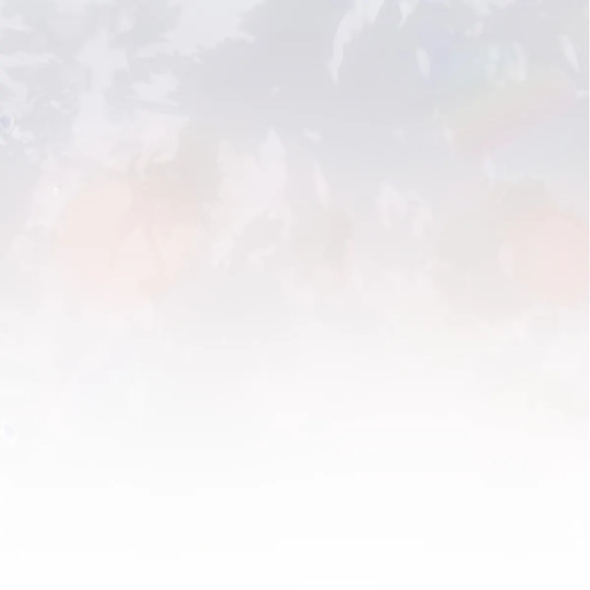 206c37d1bb89